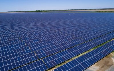 Petition launched to protect farmland from solar farm the size of ‘1,400 football pitches’